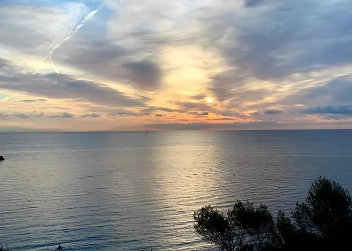 Elegant In Cap D'antibes